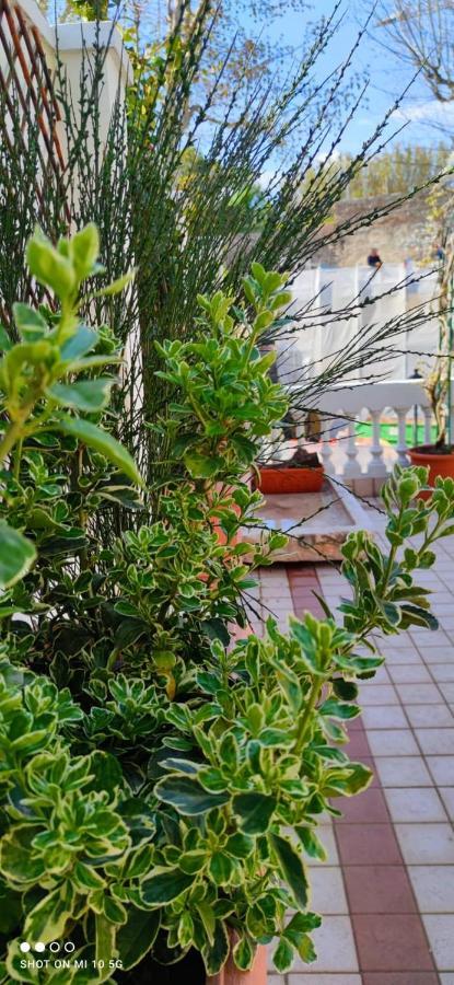 Residenza Porta Brescia Villa Peschiera del Garda Bagian luar foto